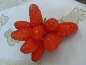 20150602_172556