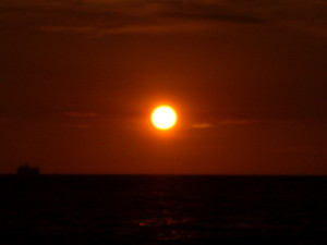 DSCN1579