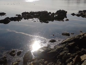 20151214_123050 (2)