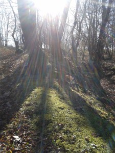 20151221_125510