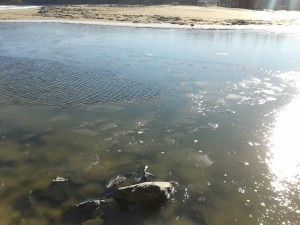 20160101_133225