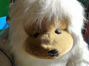 20160208_140355