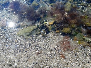 20160317_131837