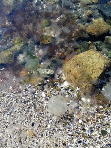 20160317_131845
