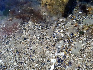 20160317_131948