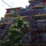 20170509_125727
