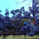 20170511_191447