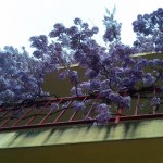 20170511_191454