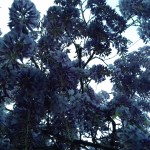 20170511_191527
