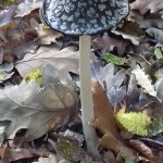 20171106_135736