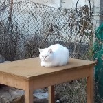 20171206_151404
